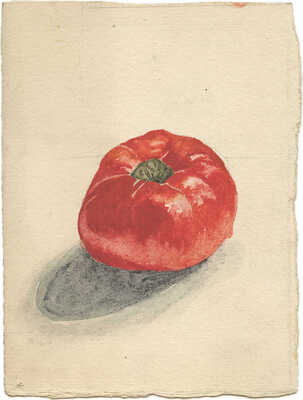 Дорфман Елизавета Григорьевна. Натюрморт с помидором